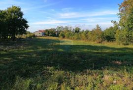 Sveti Lovreč - okolica, građevinsko i poljoprivredno zemljište na mirnoj lokaciji, Tinjan, Terreno