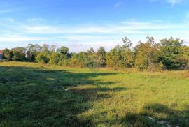 Sveti Lovreč - okolica, građevinsko i poljoprivredno zemljište na mirnoj lokaciji, Tinjan, Zemljište