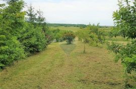 Jastrebarsko, Gornji Desinec, Građevinsko zemljište 3.924 m2, Jastrebarsko - Okolica, Terreno