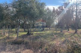 Istra, Poreč, građevinsko zemljište od 1050 m2 na atraktivnoj lokaciji i 500 m2 od  mora, Poreč, Terreno