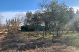 Istra, Poreč, građevinsko zemljište od 1050 m2 na atraktivnoj lokaciji i 500 m2 od  mora, Poreč, Land