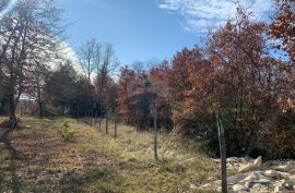 Istra, Poreč, građevinsko zemljište od 1050 m2 na atraktivnoj lokaciji i 500 m2 od  mora, Poreč, Land