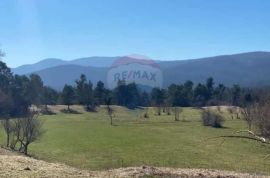 MATULJI, ŠAPJANE - IMANJE - PRILIKA ZA INVESTICIJU, Matulji, Land