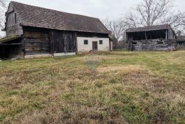 Rugvica, okolica, autohtona obiteljska kuća, gospodarski objekti, zemljište 4.705 m2, Rugvica, House