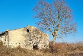 ISTRA - BALE OKOLICA - 3500 m2 GRAĐEVINSKO ZEMLJIŠTE SA KUĆOM, Bale, Ev