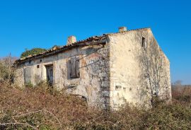 ISTRA - BALE OKOLICA - 3500 m2 GRAĐEVINSKO ZEMLJIŠTE SA KUĆOM, Bale, Famiglia