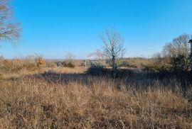 ISTRA - BALE OKOLICA - 3500 m2 GRAĐEVINSKO ZEMLJIŠTE SA KUĆOM, Bale, Kuća