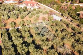 Rovinj,hacienda,3 kuće,11 000m2,pogled more, Rovinj, Σπίτι