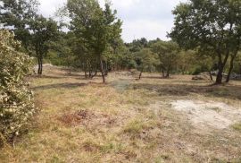 Istra,Juršići,građevinska zemljišta na lijepoj lokaciji, Svetvinčenat, Land