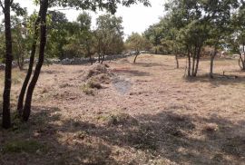 Istra,Juršići,građevinska zemljišta na lijepoj lokaciji, Svetvinčenat, Land