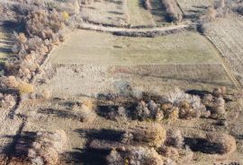 ISTRA, NEDEŠĆINA - Poljoprivredno zemljište 9824 m2, Sveta Nedelja, Terrain