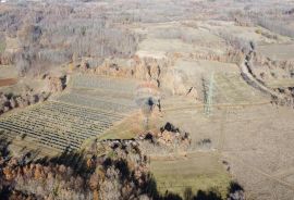 ISTRA, NEDEŠĆINA - Poljoprivredno zemljište 9824 m2, Sveta Nedelja, Terrain