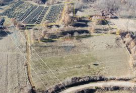 ISTRA, NEDEŠĆINA - Poljoprivredno zemljište 9824 m2, Sveta Nedelja, Land