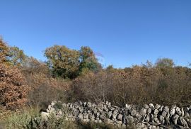 Istra, Juršići, poljoprivredno zemljište od 3786 m2, Svetvinčenat, Γη