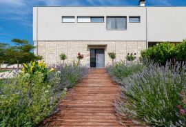 Istra,Umag-Moderna luksuzna vila s velikom okućnicom 400 m od mora, Umag, House