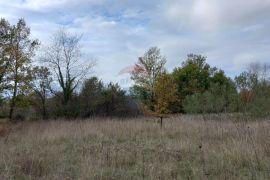 Istra, blizina istočne obale, Krnica, poljoprivredno zemljište u blizini mjesta, Marčana, Land