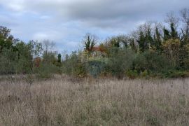 Istra, blizina istočne obale, Krnica, poljoprivredno zemljište u blizini mjesta, Marčana, Land