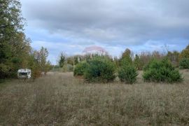 Istra, blizina istočne obale, Krnica, poljoprivredno zemljište u blizini mjesta, Marčana, Land