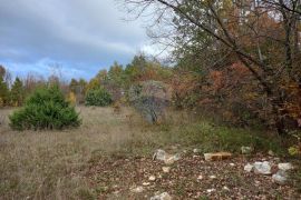 Istra, blizina istočne obale, Krnica, poljoprivredno zemljište u blizini mjesta, Marčana, Land