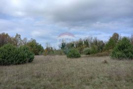 Istra, blizina istočne obale, Krnica, poljoprivredno zemljište u blizini mjesta, Marčana, Land