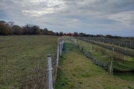 Istra, blizina istočne obale, Krnica, poljoprivredno zemljište u blizini mjesta, Marčana, Terrain