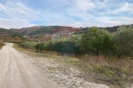 Središnja Istra, maslenik na površini od 23014 m2, Cerovlje, Γη