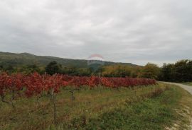 Istra, Oprtalj, imanje s otvorenim pogledom, Oprtalj, Land