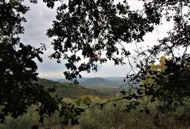 Istra, Oprtalj, imanje s otvorenim pogledom, Oprtalj, Land