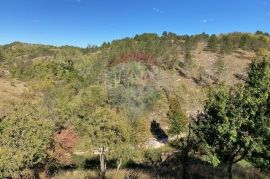 Trviž, zemljište turističke namjene 14374 m2, Pazin - Okolica, Land