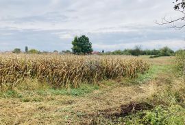 Velika Gorica - Kuče, građevinsko zemljište površine 1906 m2, Velika Gorica - Okolica, أرض