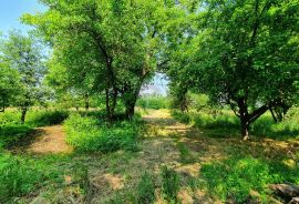 Zaprešić, Ključ Brdovečki 8200 m2 zemljišta, 3000 m2 građ.zemljište, kuća za adaptaciju, Brdovec, Terreno