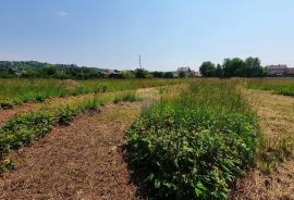 Zaprešić, Ključ Brdovečki 8200 m2 zemljišta, 3000 m2 građ.zemljište, kuća za adaptaciju, Brdovec, Terrain