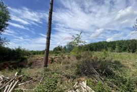 ISTRA, PAZIN - Industrijsko zemljište u poslovnoj zoni, dio ili cjelina, 35e/m2, Pazin, Terreno