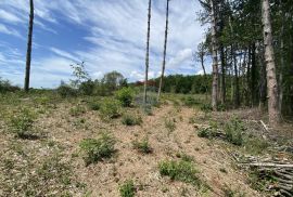 ISTRA, PAZIN - Industrijsko zemljište u poslovnoj zoni, dio ili cjelina, 35e/m2, Pazin, Terrain