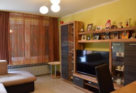 Gorski Kotar - Moravice (stan 85 m2), Vrbovsko, Apartamento