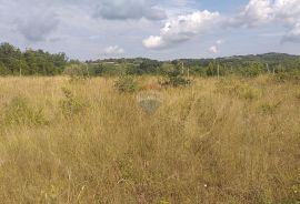 Istra, Nova Vas poljoprivredno zemljište, Brtonigla, Land