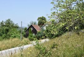 Gorski Kotar - Moravice  ( građevinski teren), Vrbovsko, Terrain