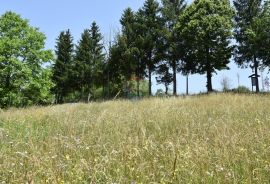 Gorski Kotar - Moravice  ( građevinski teren), Vrbovsko, Tierra