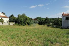 Istra, Tinjan okolica, građevinsko zemljište 3027m2, Tinjan, Land