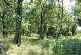 Čavle, građevinski teren 1528 m2, Čavle, Terra