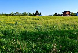 Ozalj; Trška, zemljište 9227 m2 uz rijeku Kupu idealno za seoski turizam, Ozalj, أرض