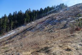 Gorski Kotar, Sunger - građevinsko poljoprivredni teren 22.364 m2, Mrkopalj, Terrain