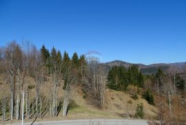 Gorski Kotar, Sunger - građevinsko poljoprivredni teren 22.364 m2, Mrkopalj, Land