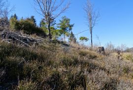 Gorski Kotar, Sunger - građevinsko poljoprivredni teren 22.364 m2, Mrkopalj, Terrain