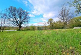 Istra,Brtonigla-Građevinske parcele na rubnom dijelu grada, Brtonigla, أرض