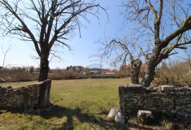 ISTRA, GRAĐEVINSKO ZEMLJIŠTE 3735 m2, Žminj, Земля