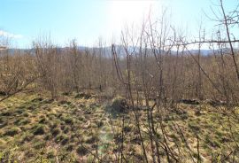 MATULJI,PERMANI- građevinsko zemljište 4057 m2, Matulji, Land