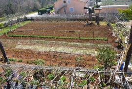 Velika obiteljska kuća sa 4 stana u blizini Poreča, Poreč, Famiglia