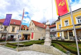 Krapina, centar, kuća Ljudevita Gaja i poslovni prostor, idealno za investiciju, Krapina, Casa