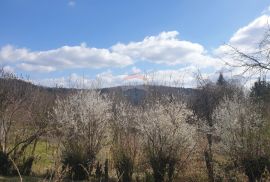 Autohtona kuća na kraju sela-Lukovdol, Vrbovsko, Haus